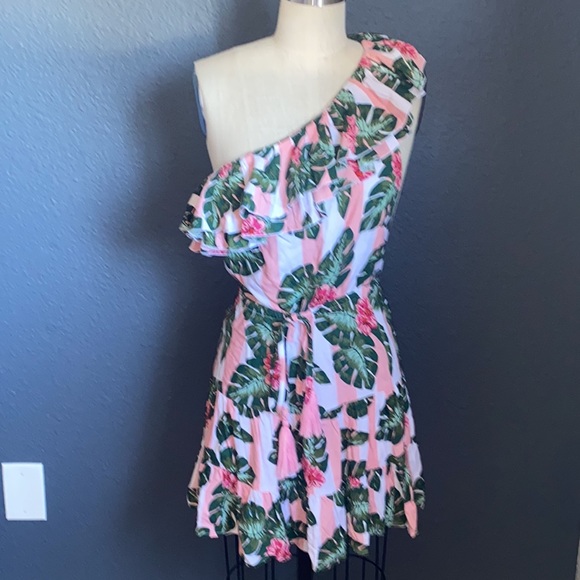 SOLD💔LOVERS AND FRIENDS Amity Mini Dress in Pink Palm Stripe - Picture 2 of 5